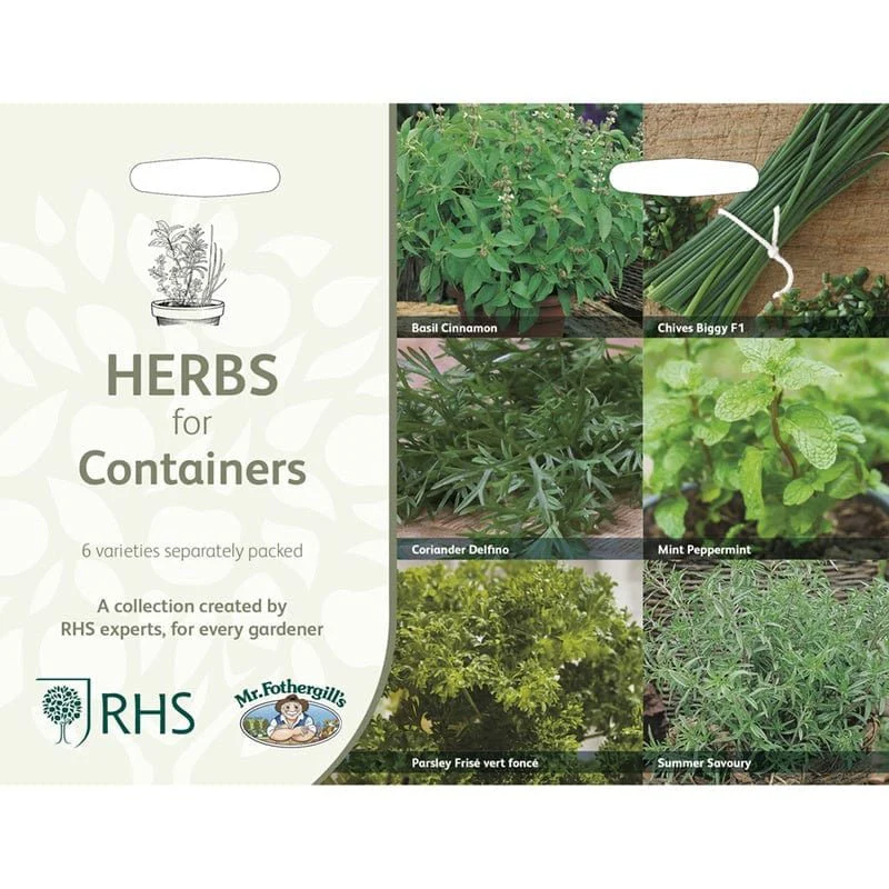 RHS Herbs for Containers Collection 6 Varieties, Curated Herb Seed Collection for Pots and Patios - Image 3