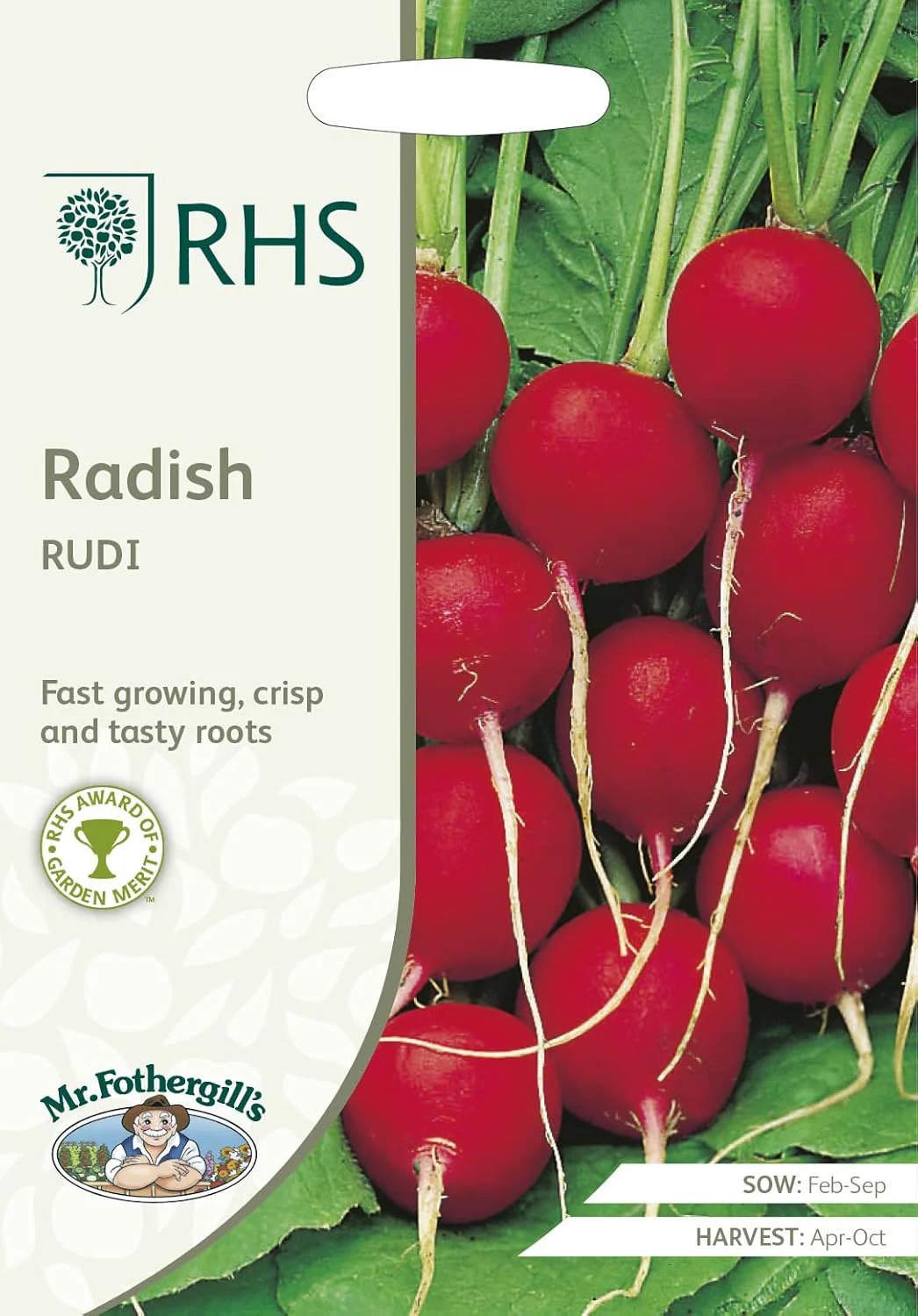 RHS RADISH Rudi