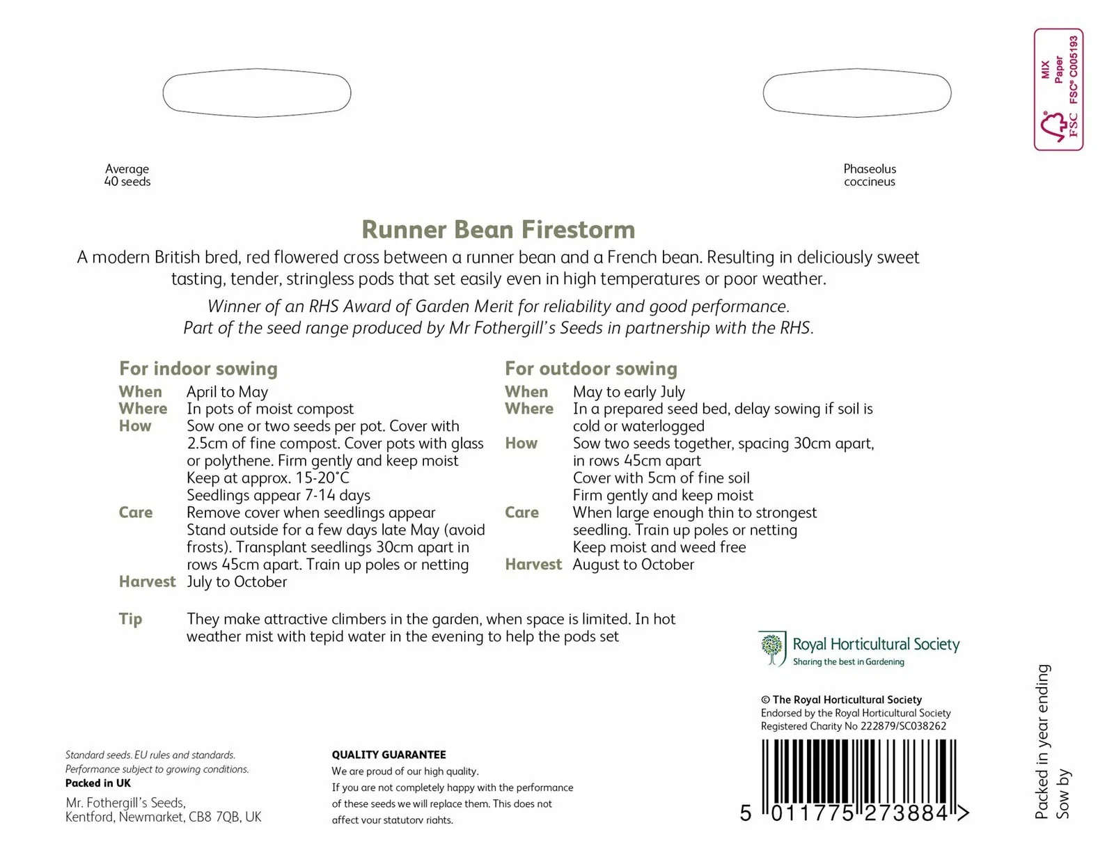 RHS Runner Bean Benchmaster Seeds - Image 2
