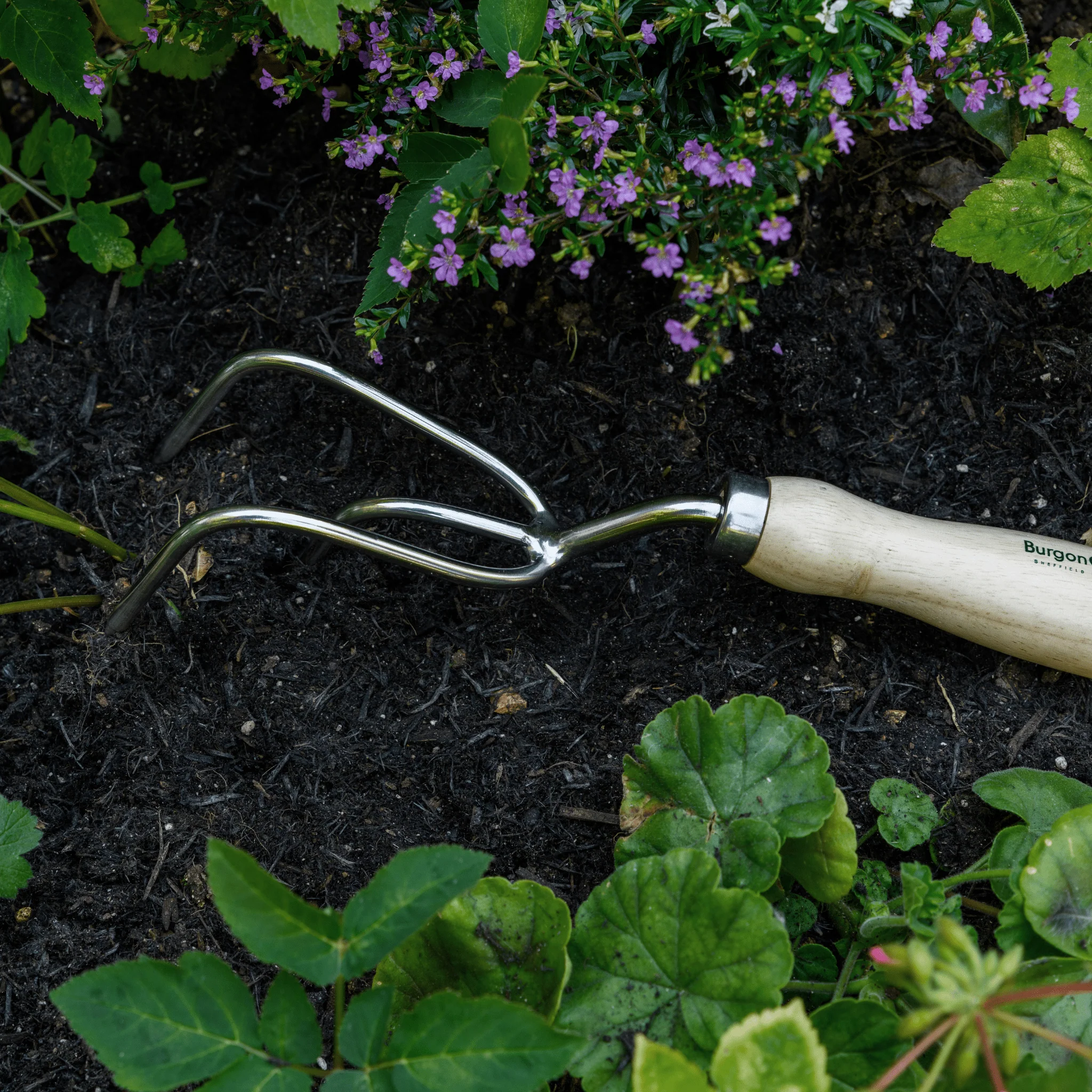 RHS Endorsed Stainless Steel Claw Cultivator by Burgon & Ball - Image 10
