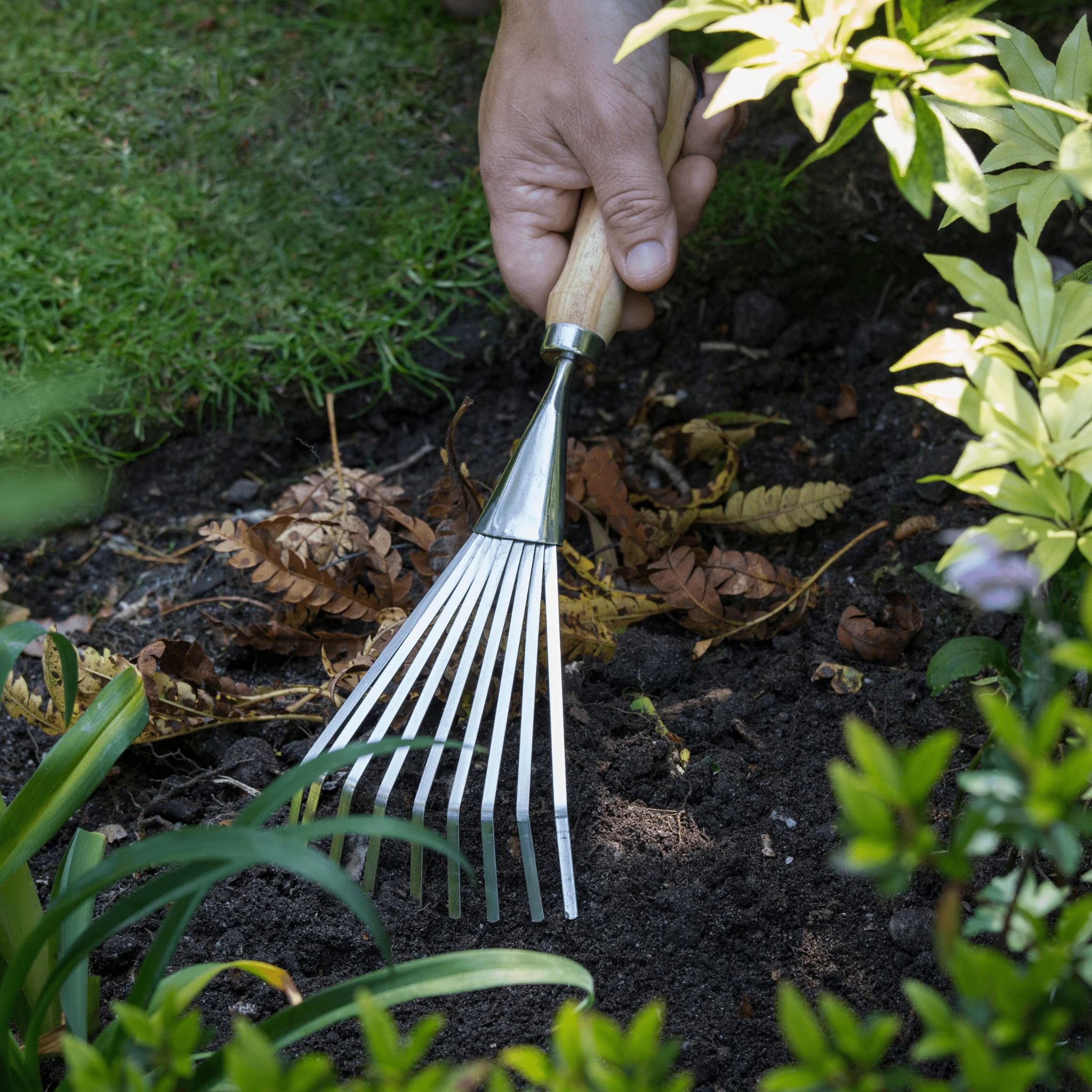 RHS Endorsed Stainless Steel Shrub Rake by Burgon & Ball - Image 8