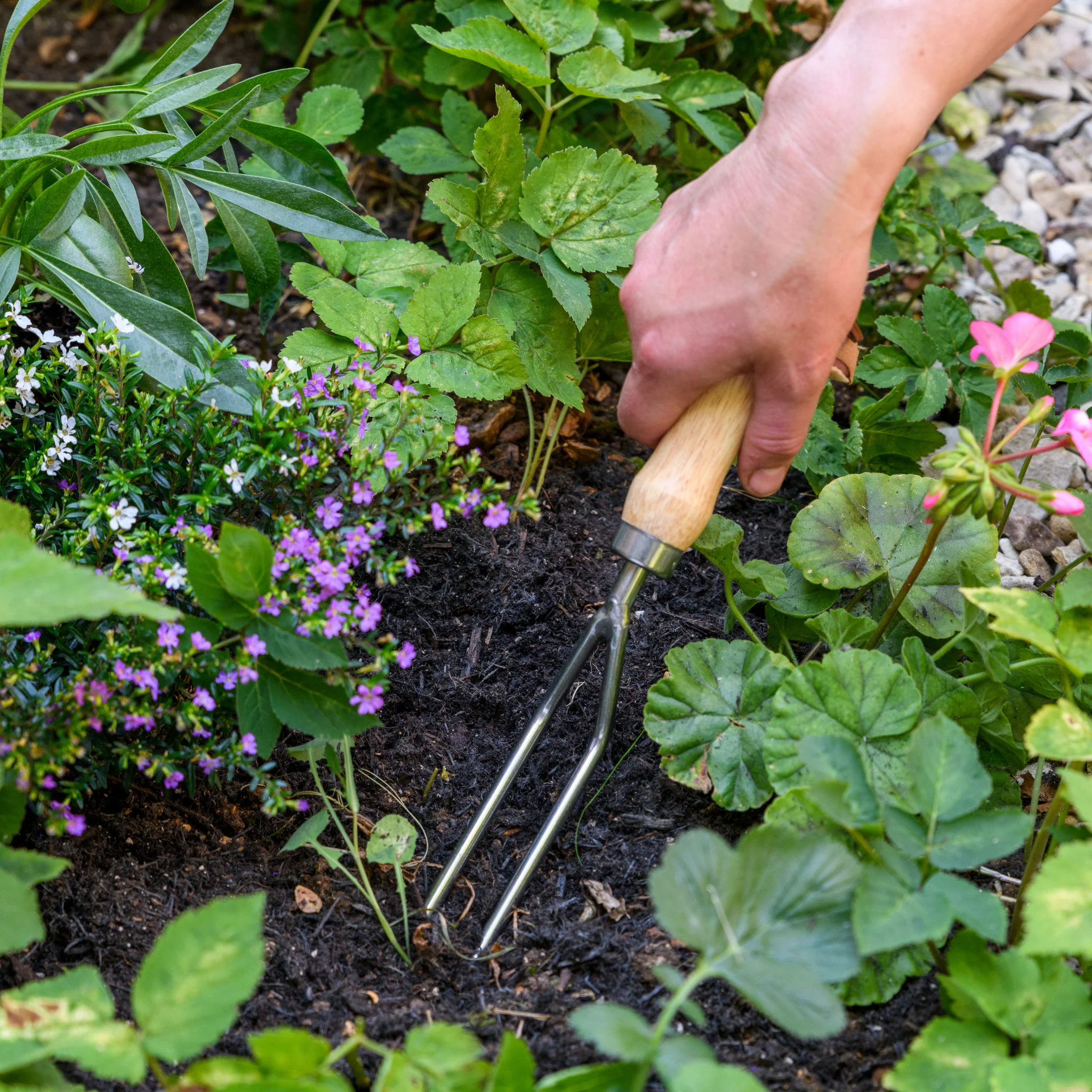 Weeding Fork, RHS Endorsed by Burgon & Ball - Image 8