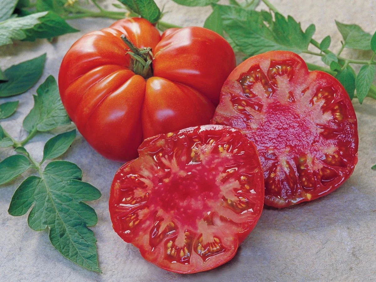 RHS Tomato Tomande F1 Seeds 10 Seeds, Large Ribbed Salad Tomato Variety - Image 3