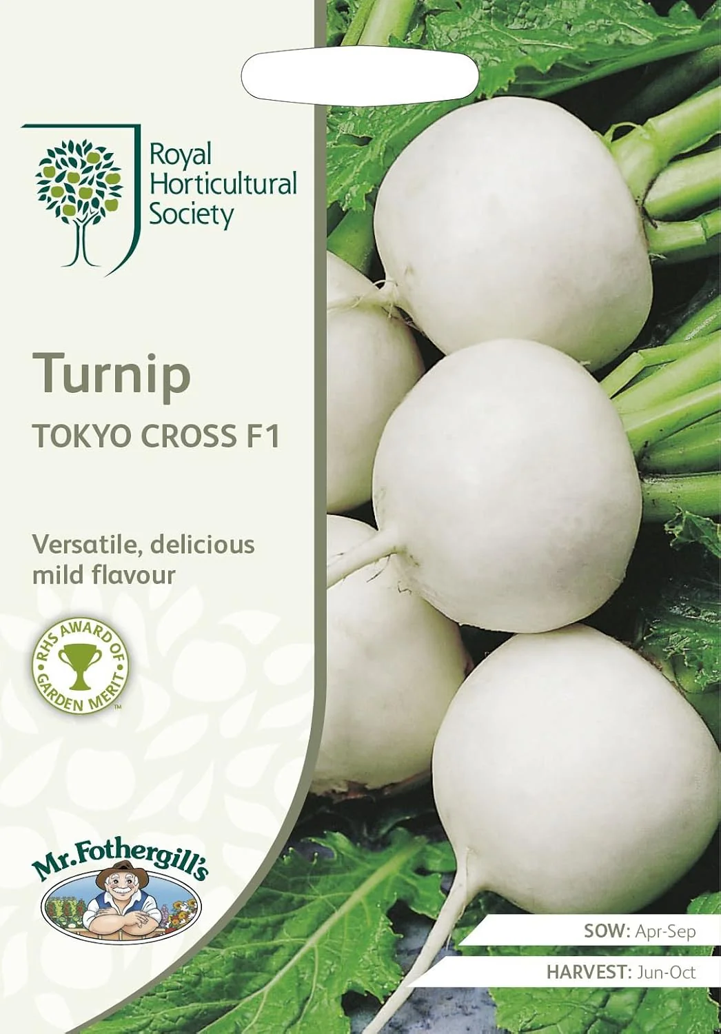 Mr Fothergill’s RHS Turnip Tokyo Cross F1 Seeds 500 Seeds, Award Winning Fast Growing White Turnip