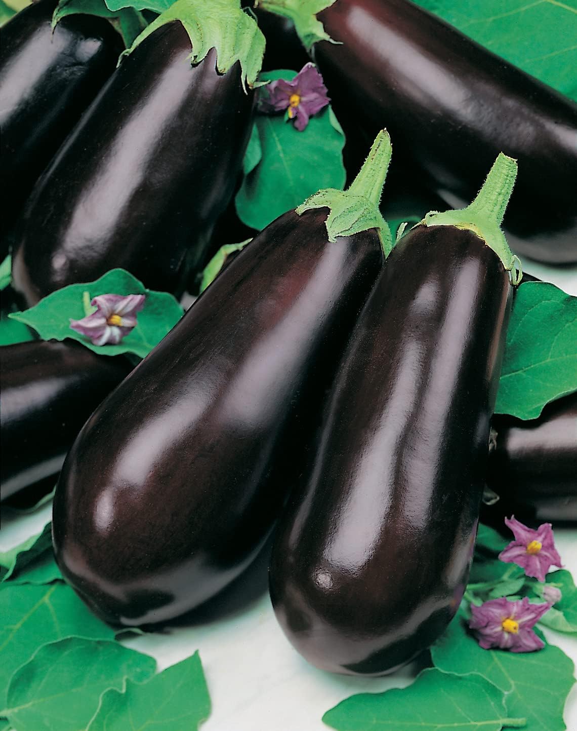 RHS Vegetables for Heirloom Crops Vegetable Seeds Collection 6 Traditional Varieties - Image 4