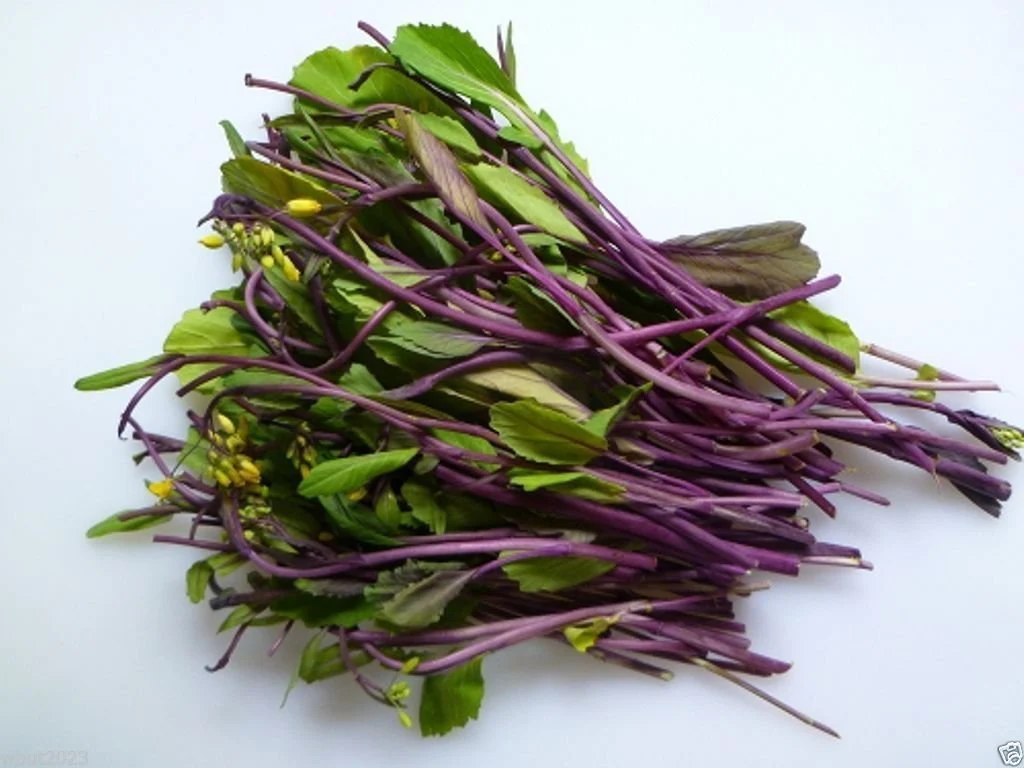 RHS Vegetables from the Orient Vegetable Seeds Collection 6 Asian Inspired Varieties - Image 4