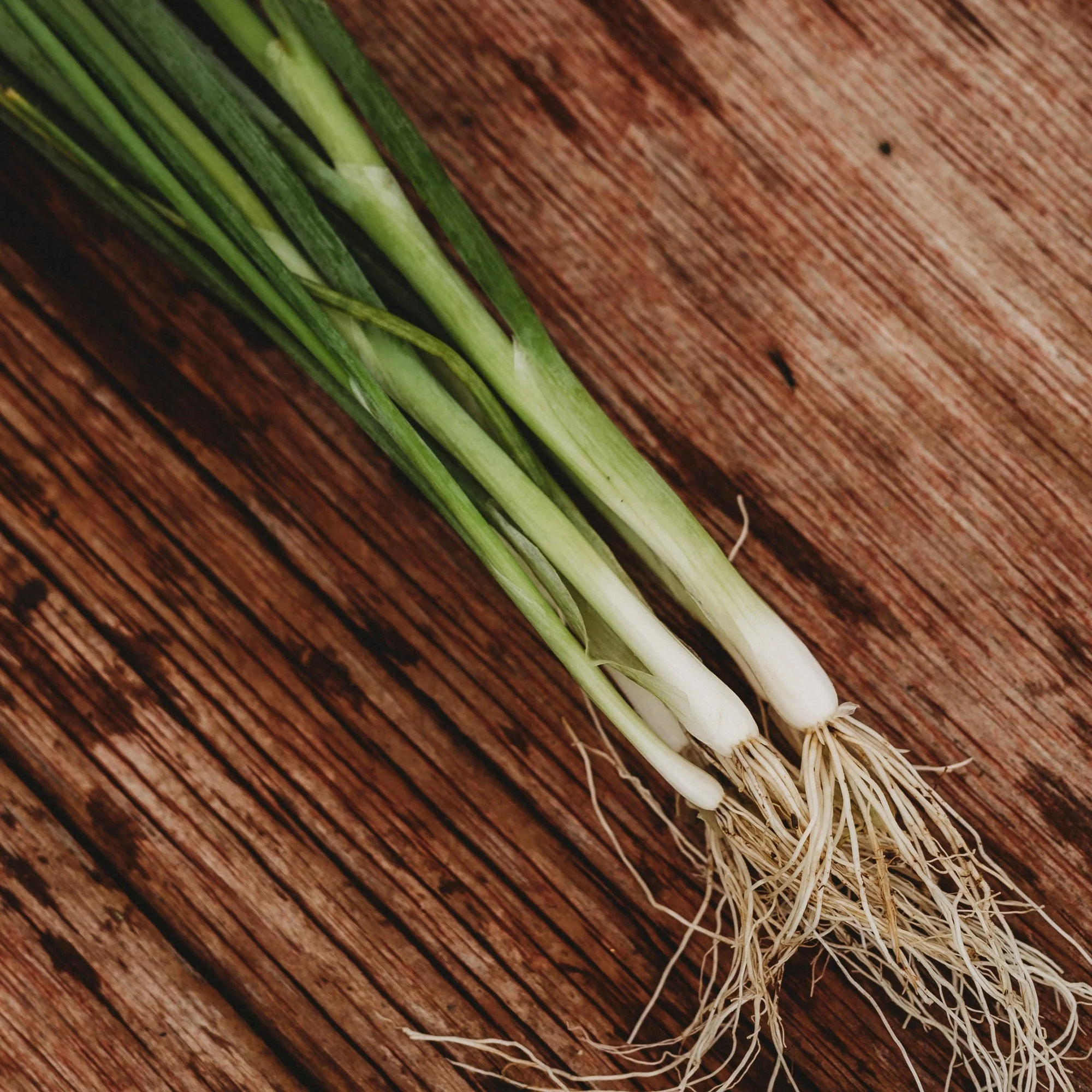 RHS Vegetables from the Orient Vegetable Seeds Collection 6 Asian Inspired Varieties - Image 6