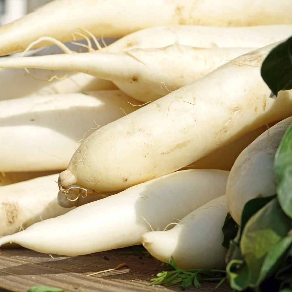 RHS Vegetables from the Orient Vegetable Seeds Collection 6 Asian Inspired Varieties - Image 9