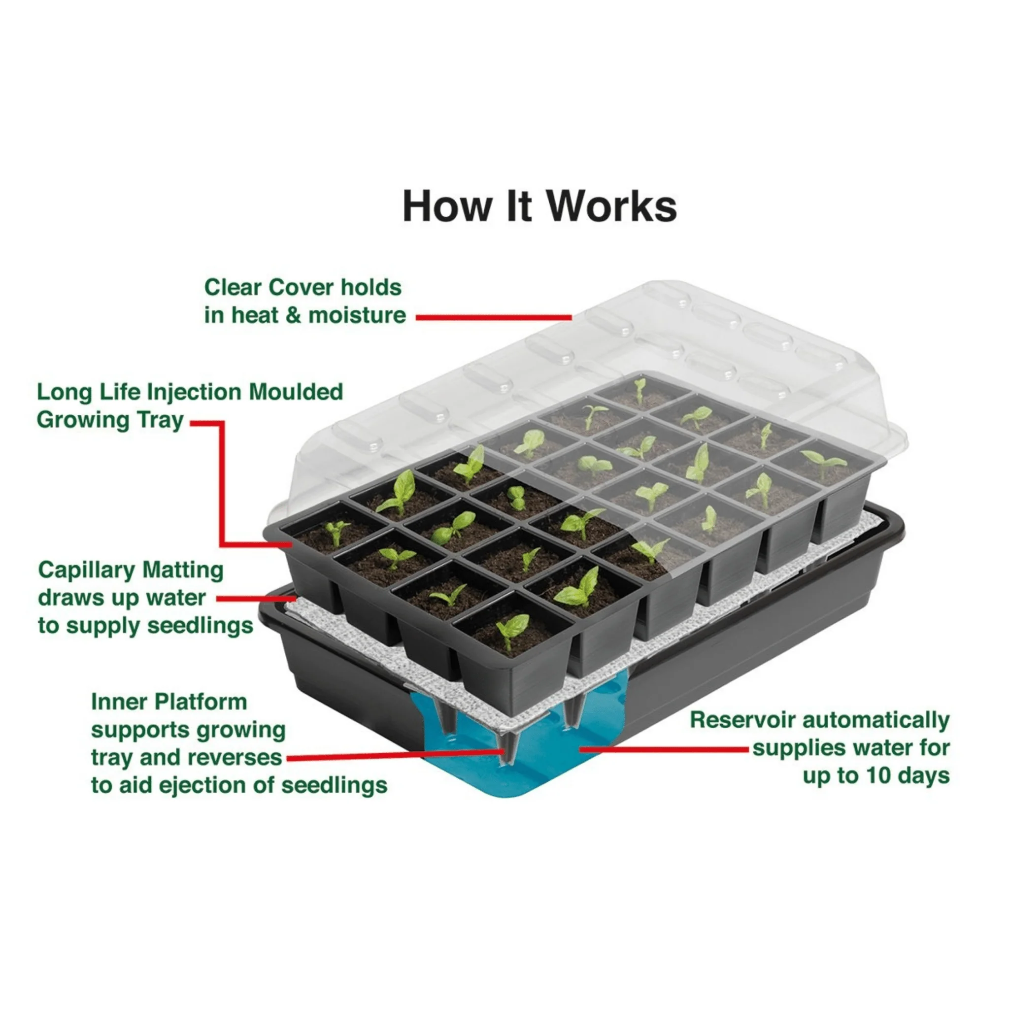 Seed-to-Pot Starter Bundle | Coir Pots, Seed Compost, Propagator and Soil Sieve - Image 7