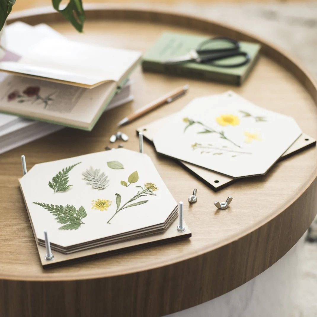 Flower Press Line Design 15cm Wooden Flower Press Kit, Made in England - Image 4
