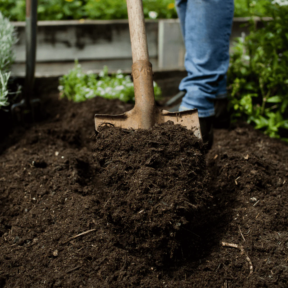 Wintermix Compost Garden Mulch - Image 2